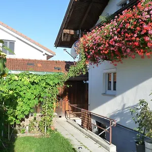 Alpenblick Apartment Ainring